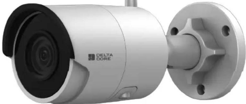 DELTA DORE Tycam 2100 - Tycam 1100 - Tycam 2100 - 2