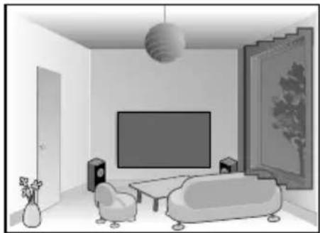 DELTA DORE Tycam 2100 - - Operation of motion detection in one or several zoness - 1