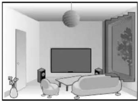 DELTA DORE Tycam 1100 - - Funksjon for detektering av bevegelse i en eller flere soner - 1