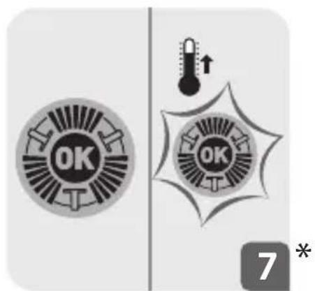 OK OK 7 *