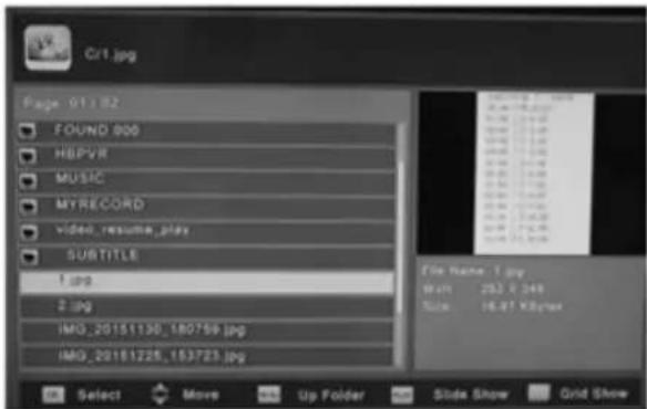 Sogo SS4420 - Multimedia - 1