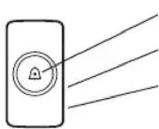 DIO DiOBELLB11 - Description of the product - 1