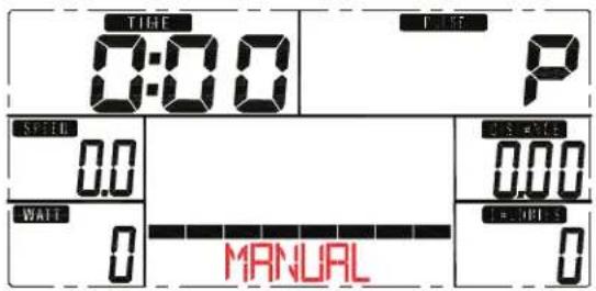 TIME 0:00 P SPEED 0.0 WATT 0 MANUAL