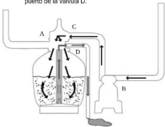 puerto de la valvula D. A C D B