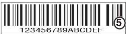 Cummins Onan P4500i - SAFETY LABELS AND DECALS - 3