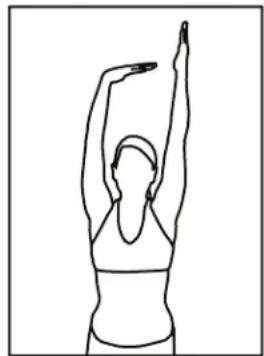 Bladez 200T - Étirement des quadriceps - 3