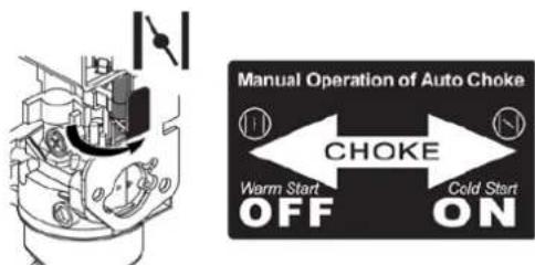Cummins Onan P9500df - STARTING THE ENGINE: GASOLINE - 2