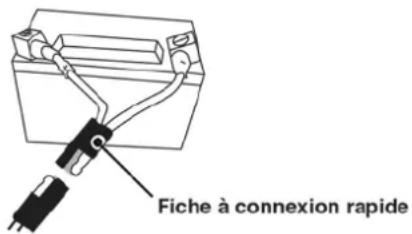 Cummins Onan P9500df - CONNECTEZ LA BATTERIE - 1