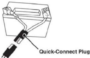 Cummins Onan P9500df - CONNECT THE BATTERY - 1