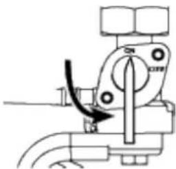 Cummins Onan P9500df - STARTING THE ENGINE: GASOLINE - 1