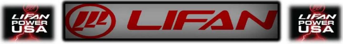 Lifan Energy Storm 3500 - AIR CLEANER MAINTENANCE: - 3