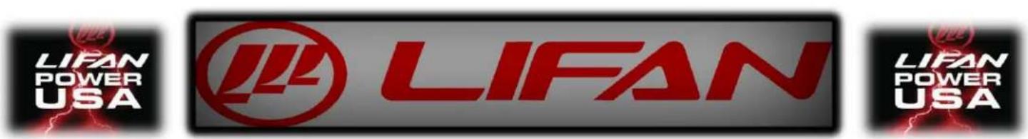 Lifan Energy Storm 3500 - APPENDIX - 8