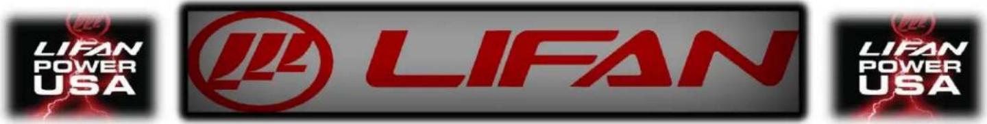 Lifan Energy Storm 3500 - CAUTION! - 1