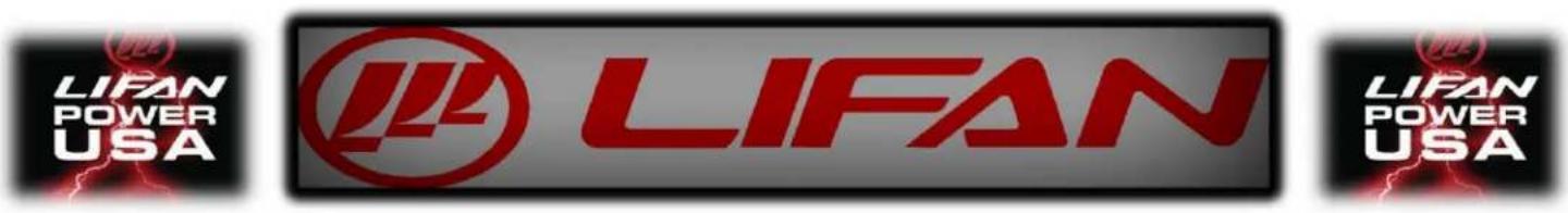 Lifan Energy Storm 8000E - CAUTION! - 1
