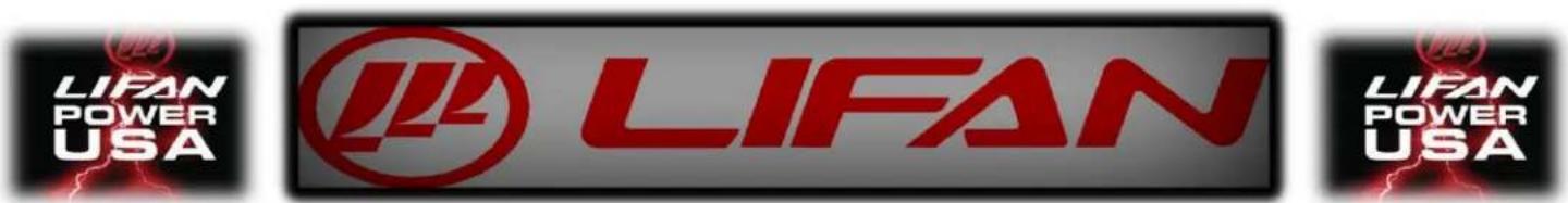 Lifan Energy Storm 8000E - Preface - 2