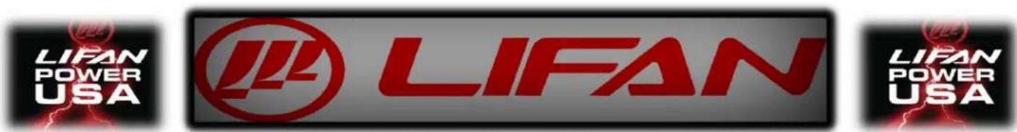Lifan Energy Storm 8000E - NORMAL SHUTDOWN - 1