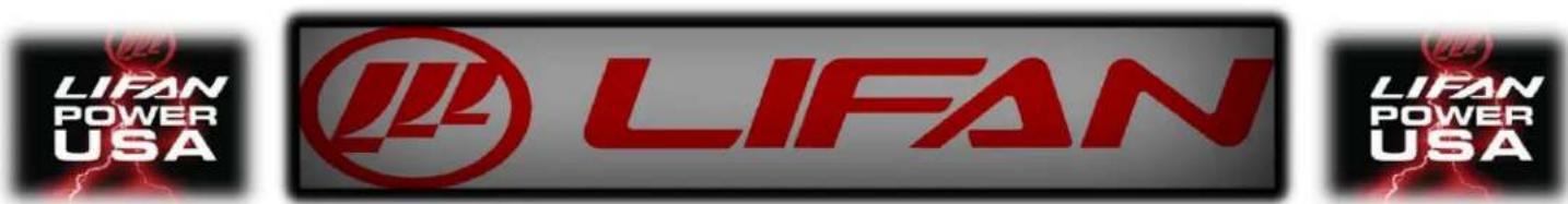Lifan Energy Storm 8000E - OWNER'S WARRANTY RESPONSIBILITIES: - 2