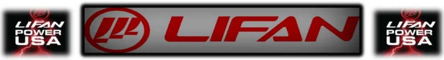 Lifan Energy Storm 6500 - AIR CLEANER MAINTENANCE: - 3