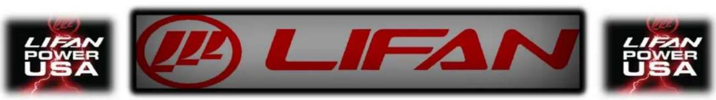 Lifan Energy Storm 6500 - OWNER'S WARRANTY RESPONSIBILITIES: - 13