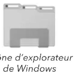 YSI EcoSense DO200A - Télécharger des données dans un ordinateur - DO200M uniquement - 1