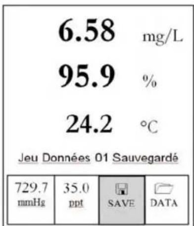 YSI Pro20i - Enregistrement des données - 1