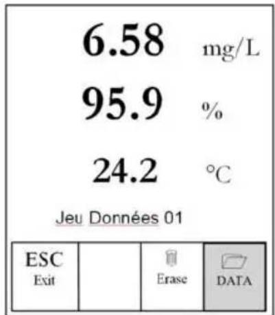 YSI Pro20i - Affichage et effacement des données enregistrées - mode DATA (données) - 1