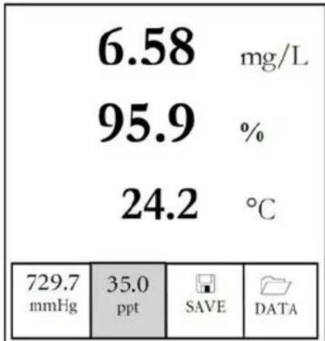 YSI Pro20i - Étalonnage de la compensation de la salinité - 1