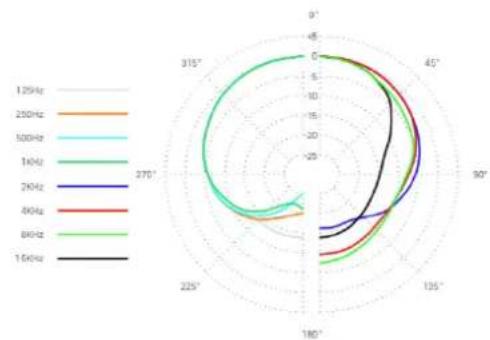SE Electronics NEOM USB - Frequency response Polar Pattern - 2