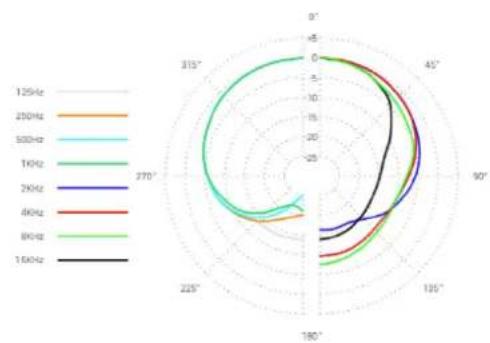 SE Electronics NEOM USB - Risposta in frequenza Diagramma polare - 2
