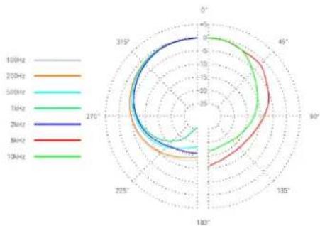 SE Electronics DynaCaster DCM 6 - Conformità - 2