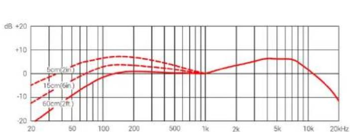 SE Electronics DynaCaster DCM 6 - Conformità - 1