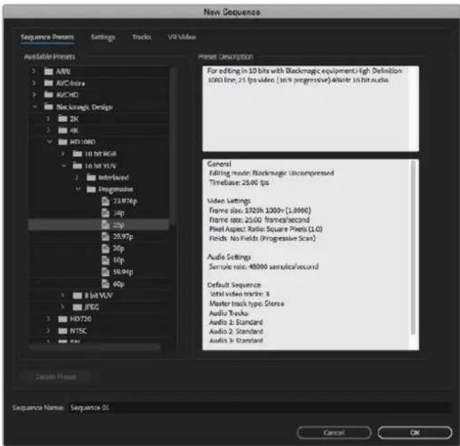 Blackmagic Design DeckLink Mini Recorder HD - Setting Up a Blackmagic Design Project - 3