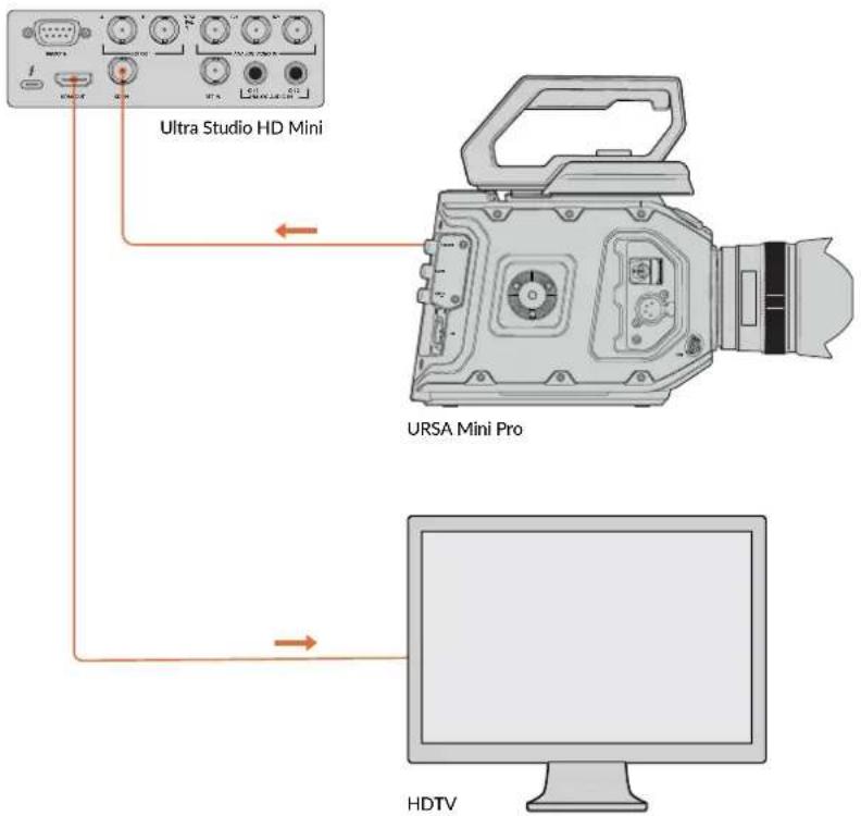 Blackmagic Design DeckLink Mini Recorder HD - セットアップ - 1