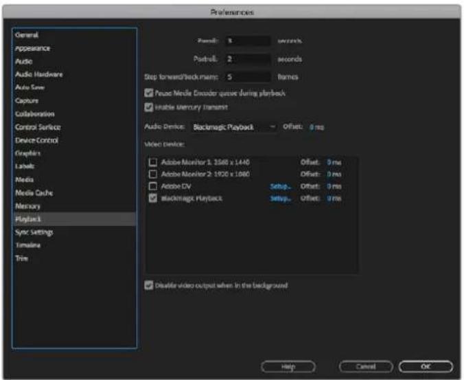 Blackmagic Design DeckLink Mini Recorder HD - Setting Up a Blackmagic Design Project - 2