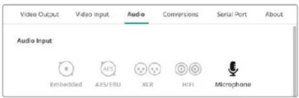 Blackmagic Design DeckLink Mini Recorder HD - - Microphone - 1