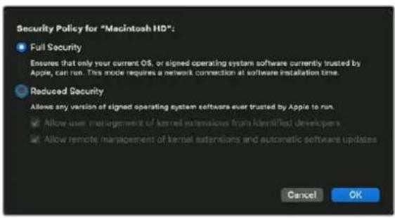 Blackmagic Design DeckLink Mini Monitor HD - Ipeheactpoika noHTKn 6eONacHcToHa KOMbItepe Mac c npoceccopom M1 - 1