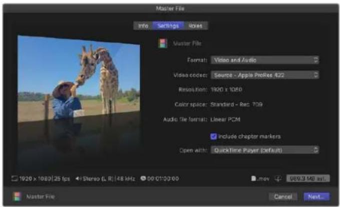 Blackmagic Design DeckLink Mini Monitor HD - Montage sur bande - 1