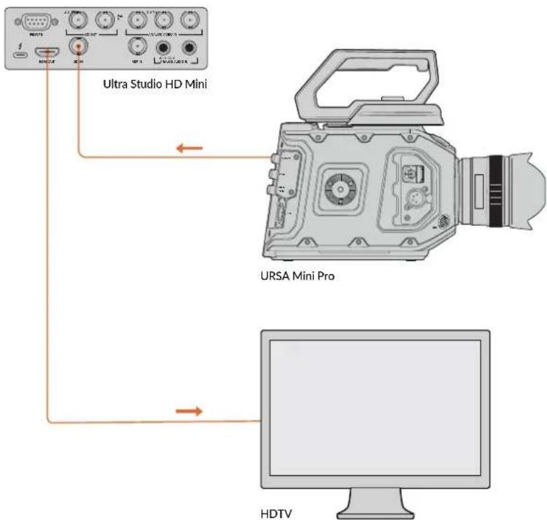Blackmagic Design DeckLink Mini Monitor HD - Configuración - 1