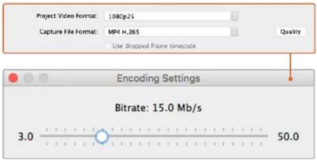 Blackmagic Design DeckLink Mini Monitor HD - Bit Oraninin Ayarlanmasi - 1