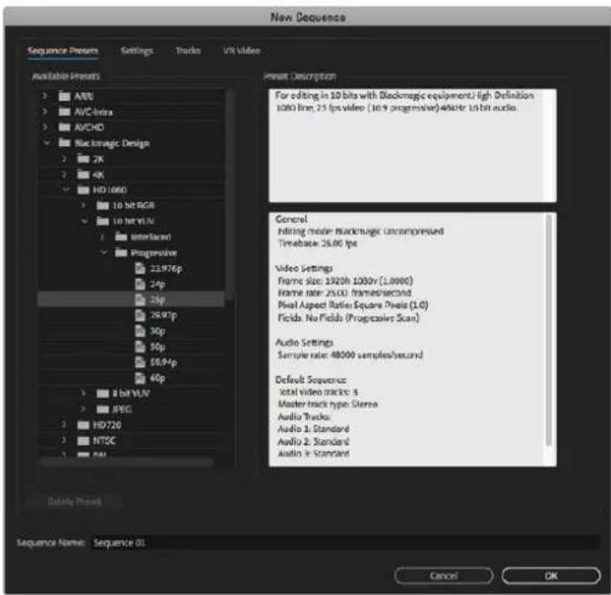 Blackmagic Design DeckLink Mini Monitor HD - Einrichten eines Blackmagic Design Projekts - 3