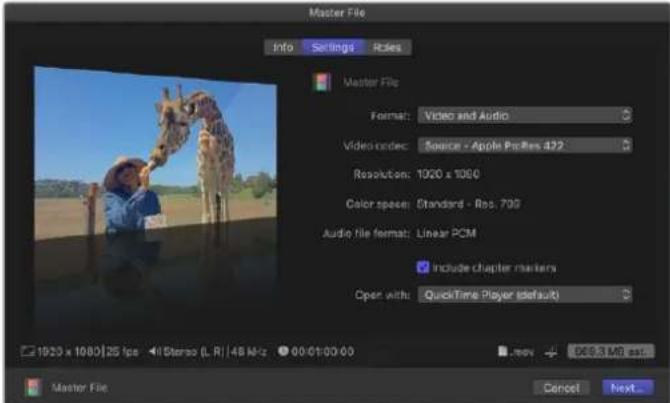 Blackmagic Design DeckLink Mini Monitor HD - Editing to Tape - 1
