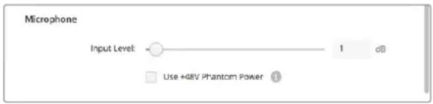 Blackmagic Design DeckLink Mini Monitor HD - - Microphone - 2