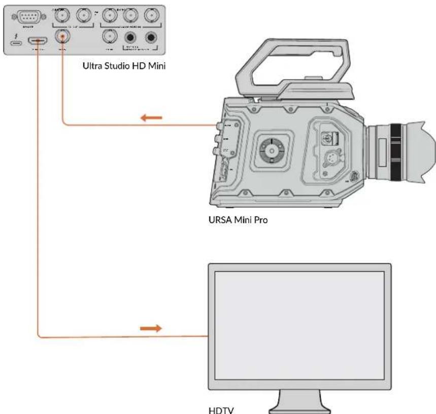 Blackmagic Design DeckLink Mini Monitor HD - Einrichtung - 1