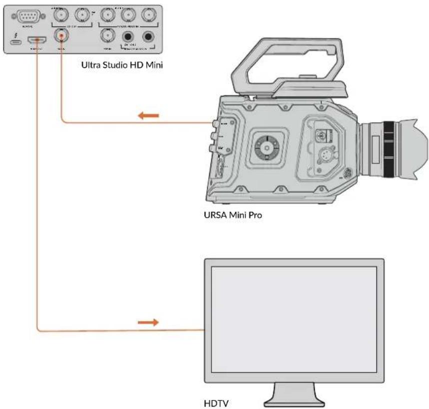 Blackmagic Design DeckLink Mini Monitor HD - Setting Up - 1
