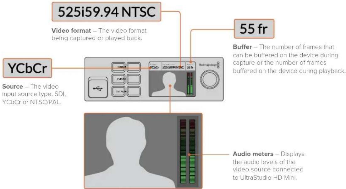 Blackmagic Design DeckLink Mini Monitor HD - LCD Display - 1