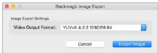 Blackmagic Design DeckLink Mini Monitor HD - Photoshop CC'den bir görtünün aktarilmasi - 1
