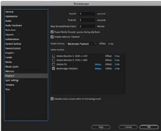 Blackmagic Design DeckLink Mini Monitor HD - Premiere Pro CC - 3
