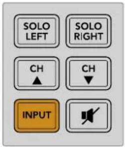 SOLO LEFT SOLO RIGHT CH CH INPUT