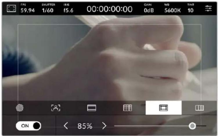 FPS SHUTTER IRIS 00:00:00:00 CAN WB TINT 59.94 1/60 f5.6 0dB 5600K 10 ON < 85% >