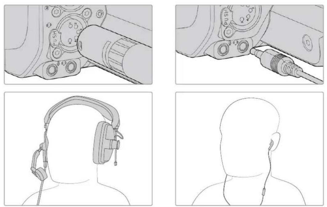 Blackmagic Design Studio Camera 4K Plus - Anschließen eines Talkback-Headsets - 1